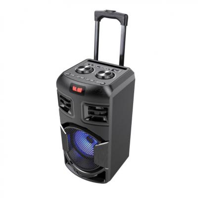 Portable Trolley Speaker A9