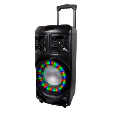 Portable Trolley Speaker A9L