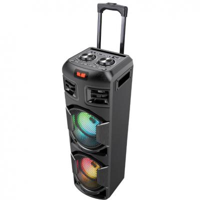 Portable Trolley Speaker A9T