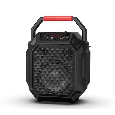 Portable Speaker T21